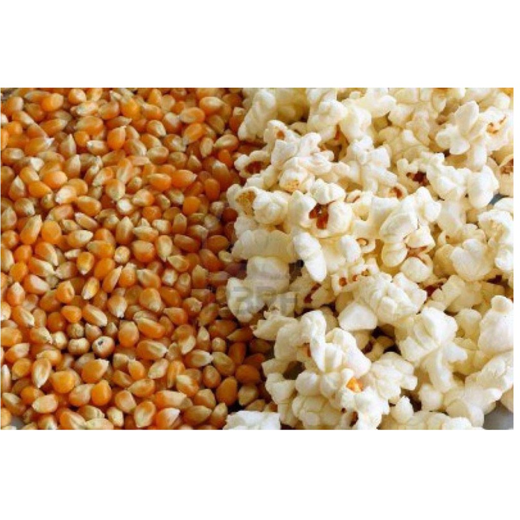 Túi ngô mỹ dùng nổ bắp rang bơ 1kg