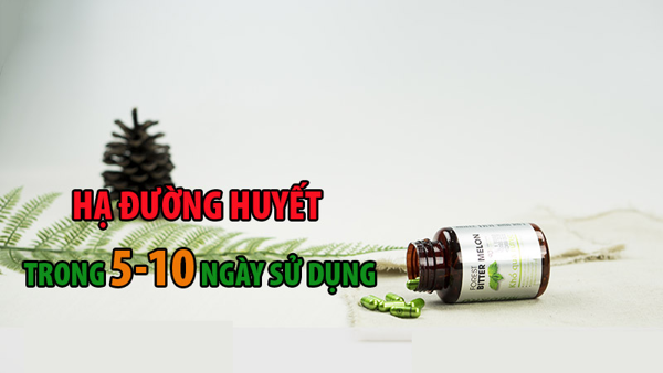 Viên Uống Khổ Qua Rừng Mudaru Hũ 90 Viên - Kiểm Soát Đường Huyết, Gout, Thanh Nhiệt, Giải Độc - GIẢM CÂN