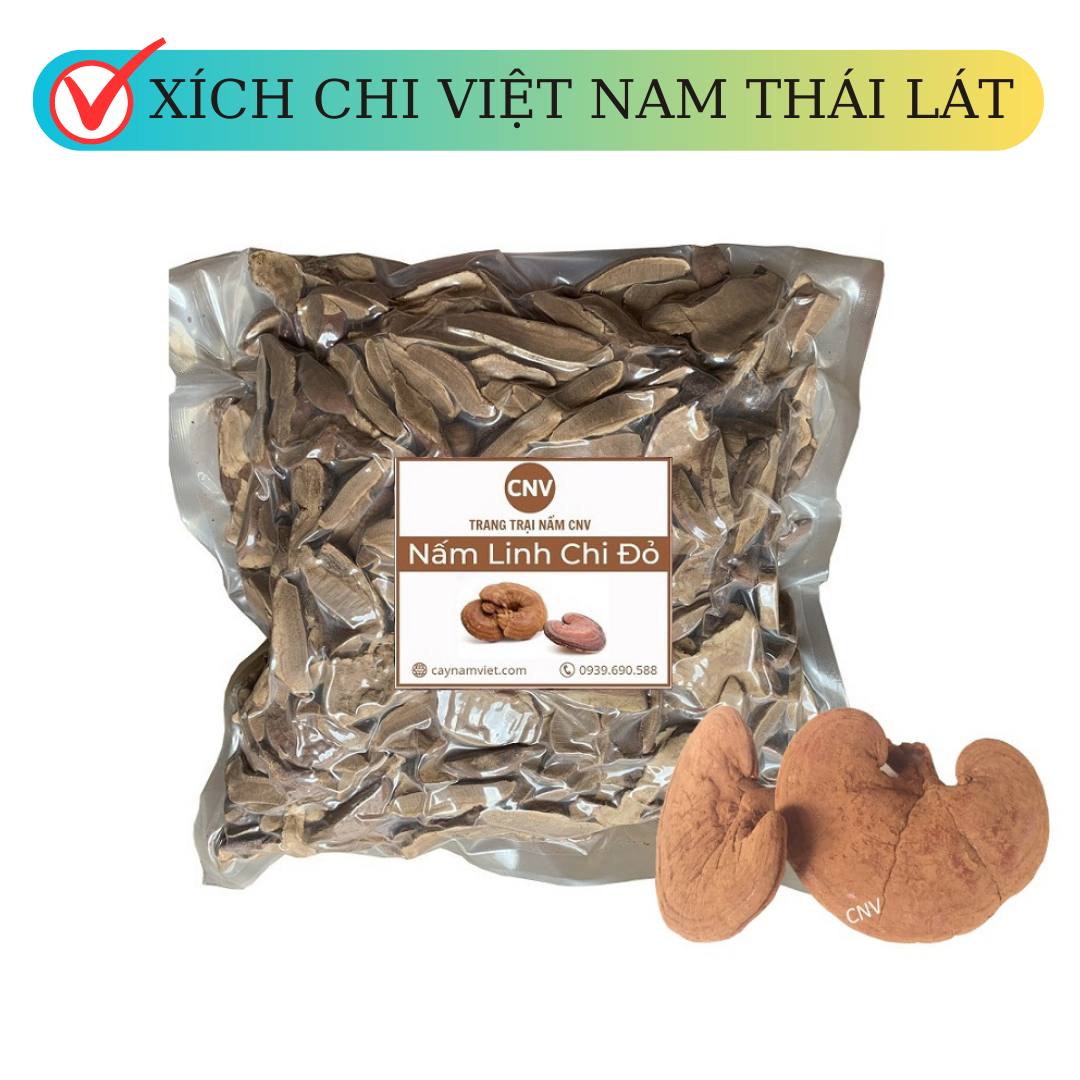 Nấm linh chi đỏ Việt Nam Thái Lát 500g (Xích chi vị đắng nhẹ) - Cây Nấm Việt