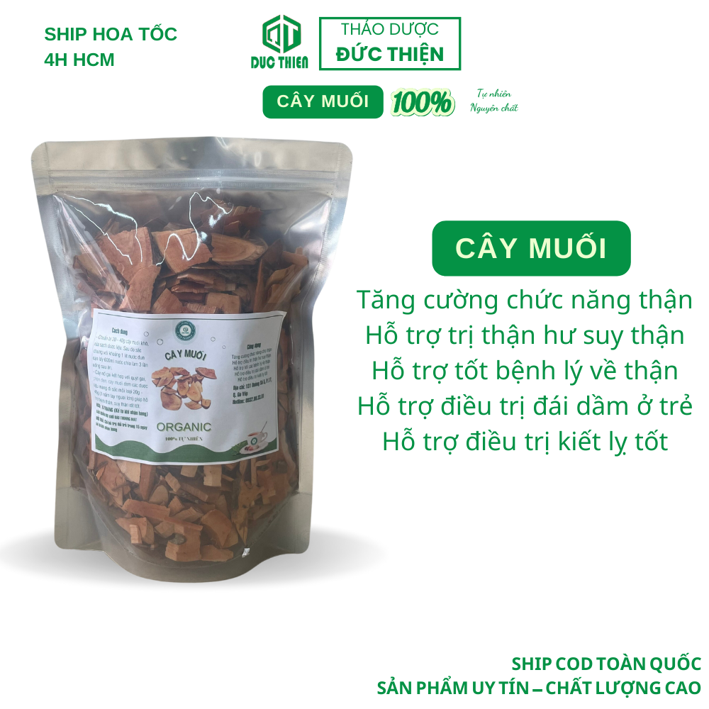 500g cây muối khô loại 1 đức thiện - hỗ trợ suy thận, thận yếu, thận hư, đau nhức xương khớp
