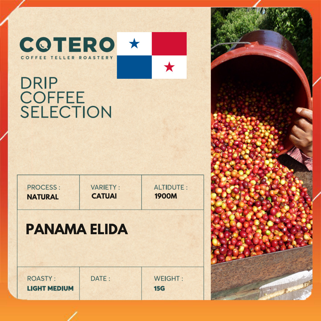 Cà Phê Phin Giấy Drip Bag Specialty Panama Elida Natural - COTERO Coffee