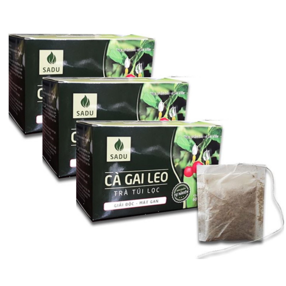 3 hộp trà túi lọc Cà gai leo sản phẩm tự nhiên (150g / 1 hộp)