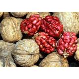 500g quả óc chó mỹ đỏ size to