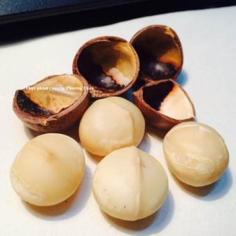 Bộ 3 gói Hạt mắc ca Macadamia nứt vỏ 500g (nhập Úc)