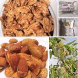 Combo 1 - Nhân hạt óc chó Jumbo Hartley California 500g & Hạnh nhân rang bơ California 500g