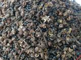 Hạt Mắc Khén rừng Tây Bắc loại thượng hạng 2kg