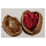 Qủa óc chó đỏ cao cấp 500g