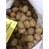 Qủa óc chó Hartley Mỹ 1Kg