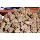 Tam thất bắc (9 củ/lạng) 500g khô