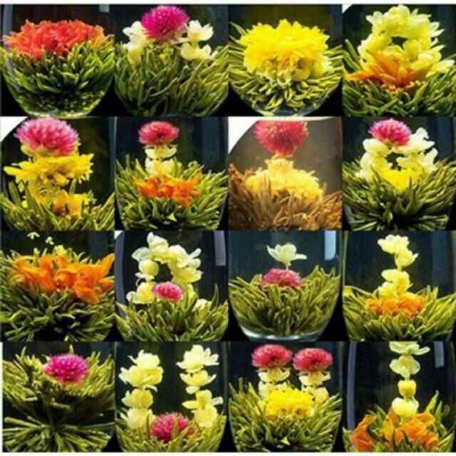 HCMTrà Tân Long Châu 15 viên 15 dáng hoa  trà nở hoa