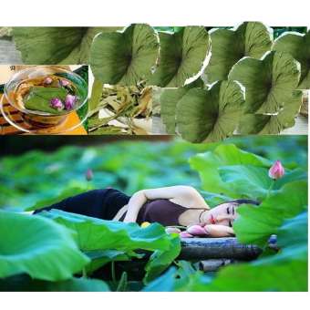 Trà Lá Sen Thảo Lộc 3 Túi x 200g  [ Liên quỳ, hà diệp.]