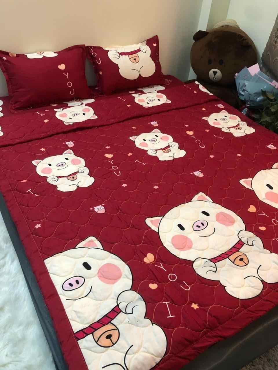 Bộ ga gối chăn hè poly cotton 5 món - bộ 5 món hè cotton poly mẫu mới siêu đẹp