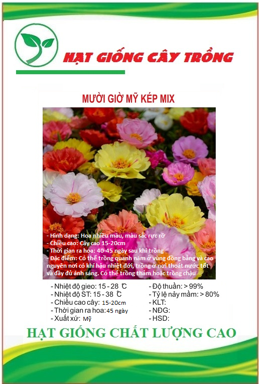 Hạt giống hoa 10h mỹ hoa kép mix màu - gói 200 hạt
