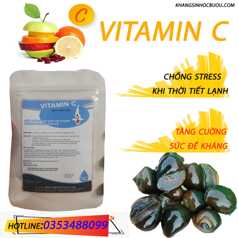 VITAMIN C  (TĂNG SỨC ĐỀ KHÁNG KHI VẬN CHUYỂN XA HOẶC THAY NƯỚC BỊ SHOCK CHO ỐC BƯƠU ĐEN ÔC NHỒI)