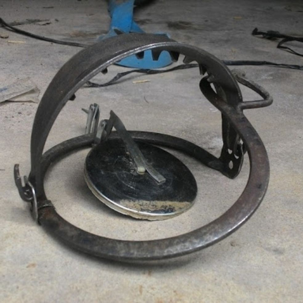 Bẫy thú cạm kiềng tặng bàn đạp