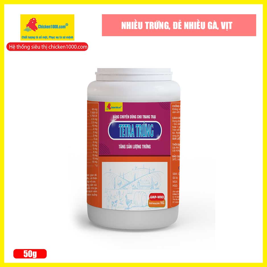 Thuốc thú y tetra trứng chicken1000 giúp vật nuôi gà, vịt đẻ nhiều trứng