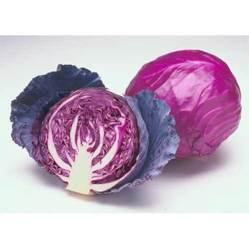 Hạt giống bắp cải tím F1 - 10 hạt, chất lượng sản phẩm đảm bảo và cam kết hàng đúng như mô tả