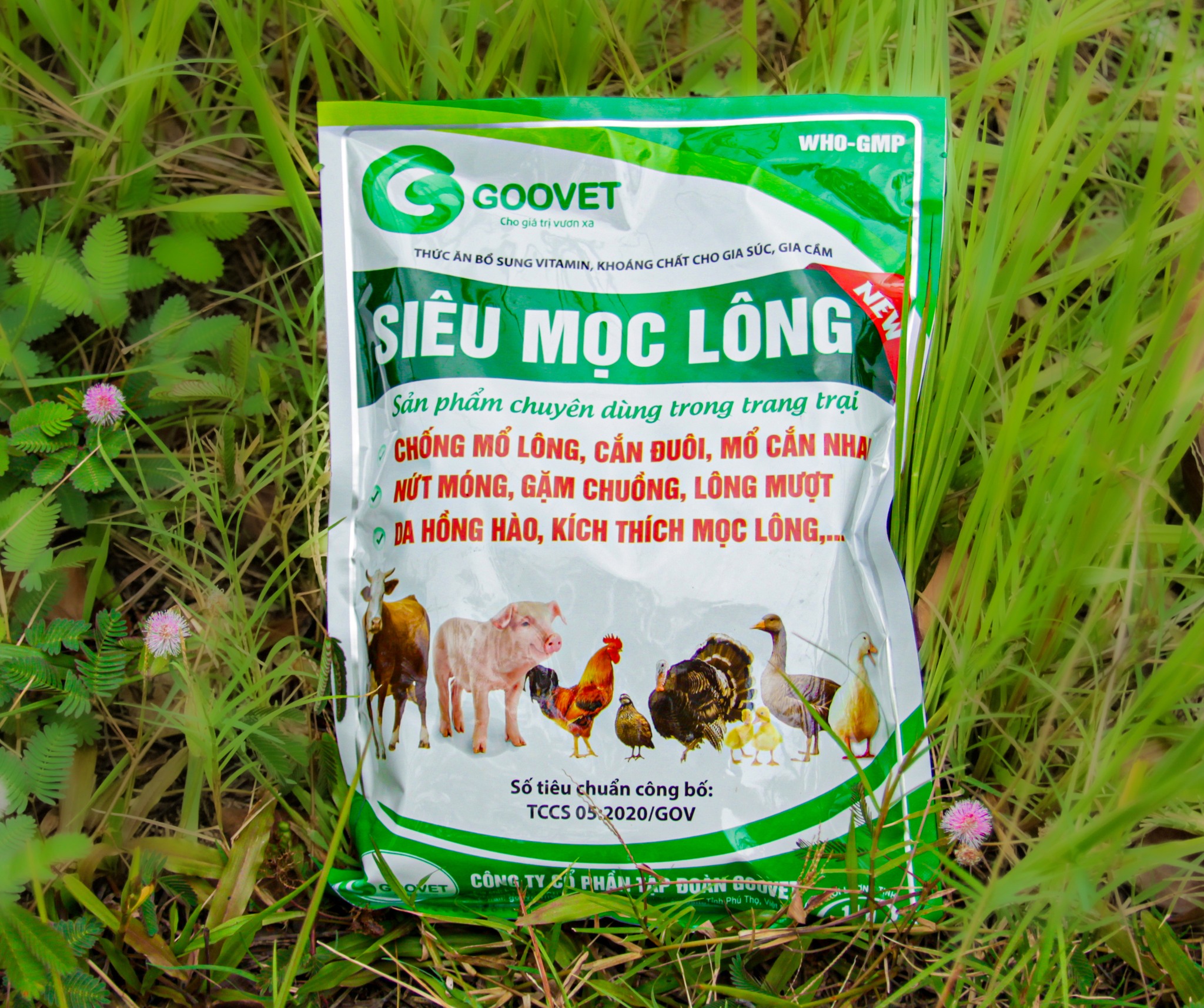 Siêu mọc lông chống mổ lông, cắn đuôi - kích thích mọc lông, lông mượt, da hồng hào,…