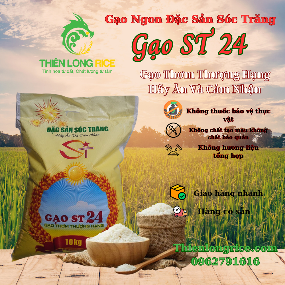 Gạo st 24 đặc sản sóc trăng hàng loại 1 thiên long rice gạo thơm thượng hạng hãy ăn và cảm nhận