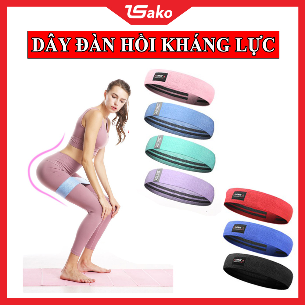 Dây Đàn Hồi Kháng Lực Tập Mông Miniband Aolikes - Dây tập mông miniband