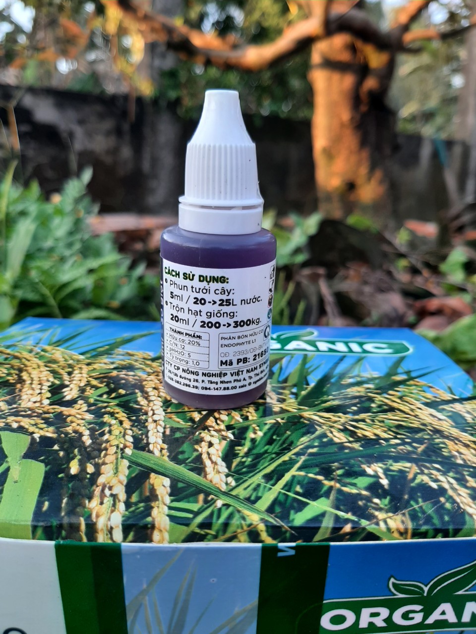 Endophyte rice chai 20ml chế phẩm sinh học giúp to đòng, dưỡng xanh lá, nở bụi_thien thinh shop