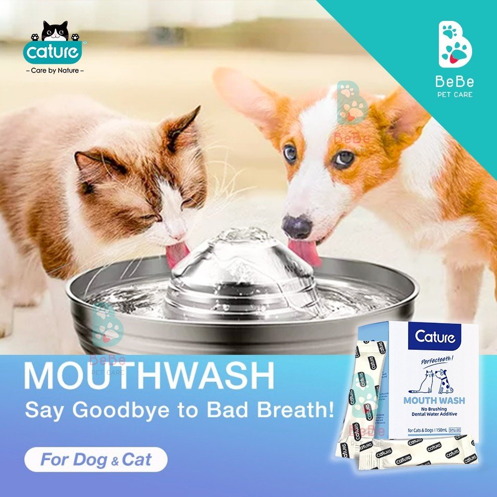 Dung dịch pha nước uống thơm miệng cho chó mèo cature oral care pro 5ml