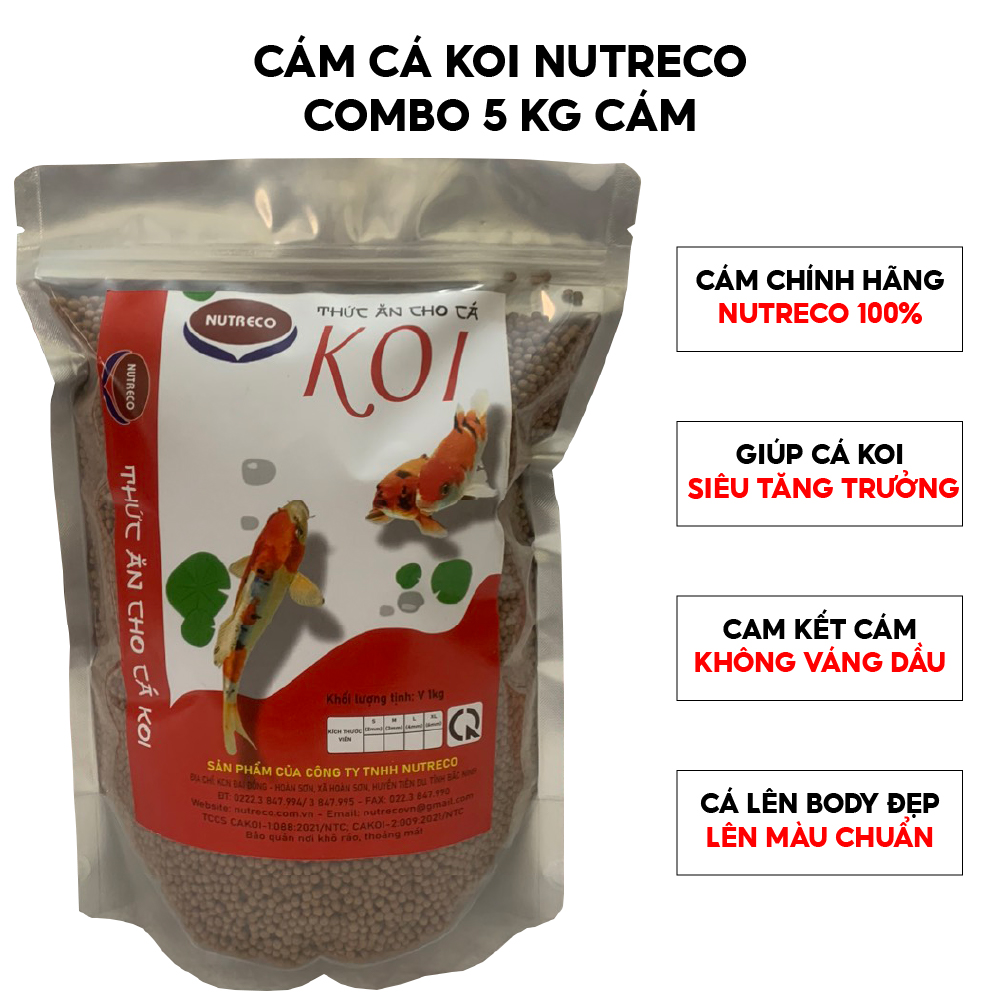 Cám Cá Koi Nutreco 5kg  42% Đạm Không váng dầu, độ đạm cao, thức ăn cá koi Nutreco