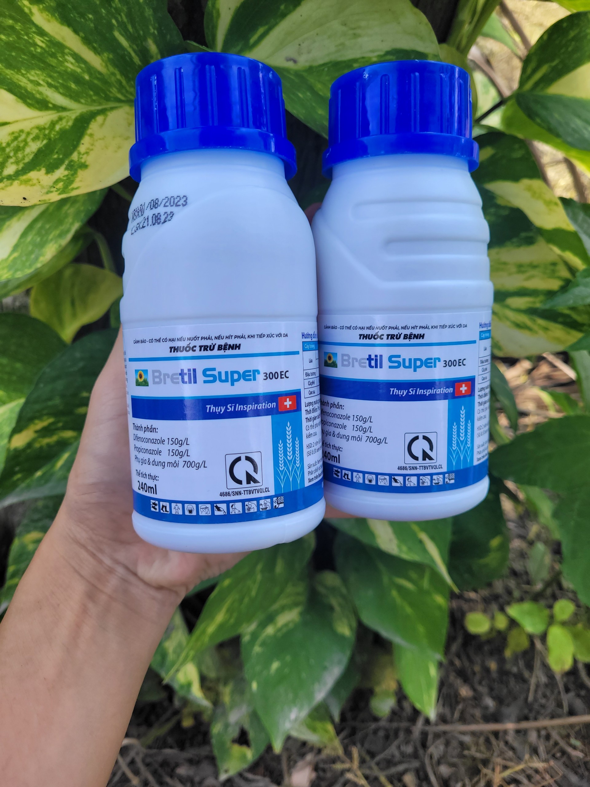 [TRUNG THIEN THINH] Thuốc trừ bệnh rỉ sắt, thán thư, khô vằn, lem lép hạt BRETIL SUPER 300EC chai 240ml