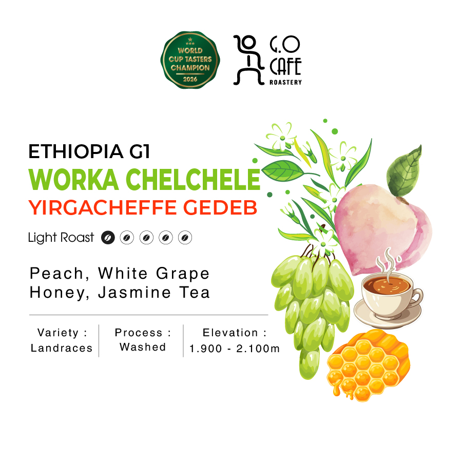 Cà phê đặc sản Ethiopia Yirgacheffe Gedeb Worka Chelchele G1 Washed - G.O Cafe Roastery