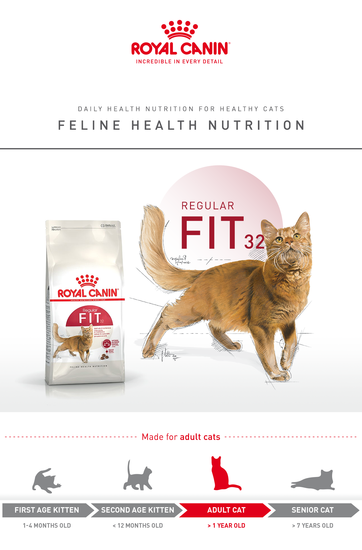 [pettohouse gò vấp] thức ăn cho mèo trưởng thành Royal Canin fit32 2kg hạt khô sản xuất tại pháp cho mèo lớn hơn 12 tháng tuổi cân bằng dinh dưỡng