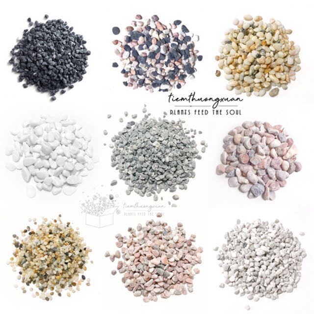 Sỏi, đá nhỏ - 500g - Trang trí hồ cá, sỏi nhỏ trang trí cây, cây cảnh, sen đá, hạt giống - Decor phòng, bàn học, vườn -  Sỏi trắng, sỏi đen, sỏi hồng, sỏi vàng, sỏi xám, sỏi nhiều màu - Tiệm thường xuân
