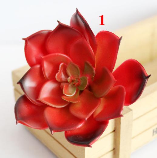 Sen đá đỏ lá to bằng nhựa