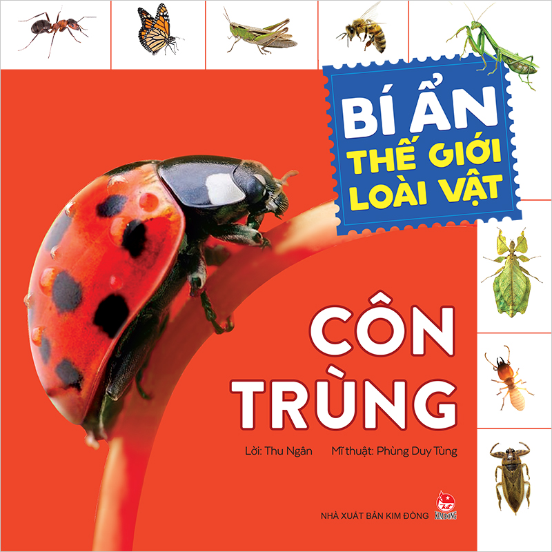 Kim Đồng - Bí ẩn thế giới loài vật - Côn trùng