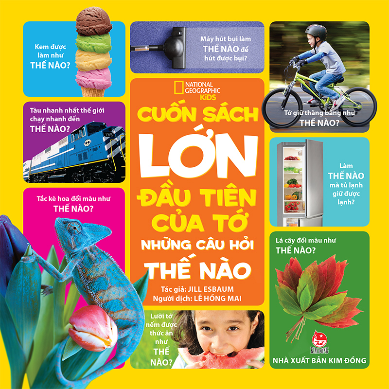 Kim Đồng - Cuốn sách lớn đầu tiên của tớ - Những câu hỏi Thế nào