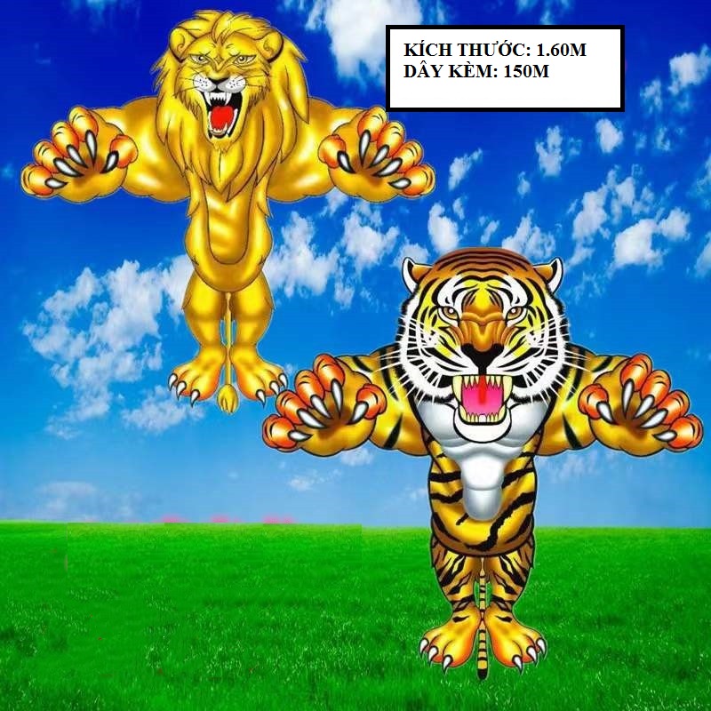 Diều, diều đại bàng, 1.6 mét, tặng 100 mét dây