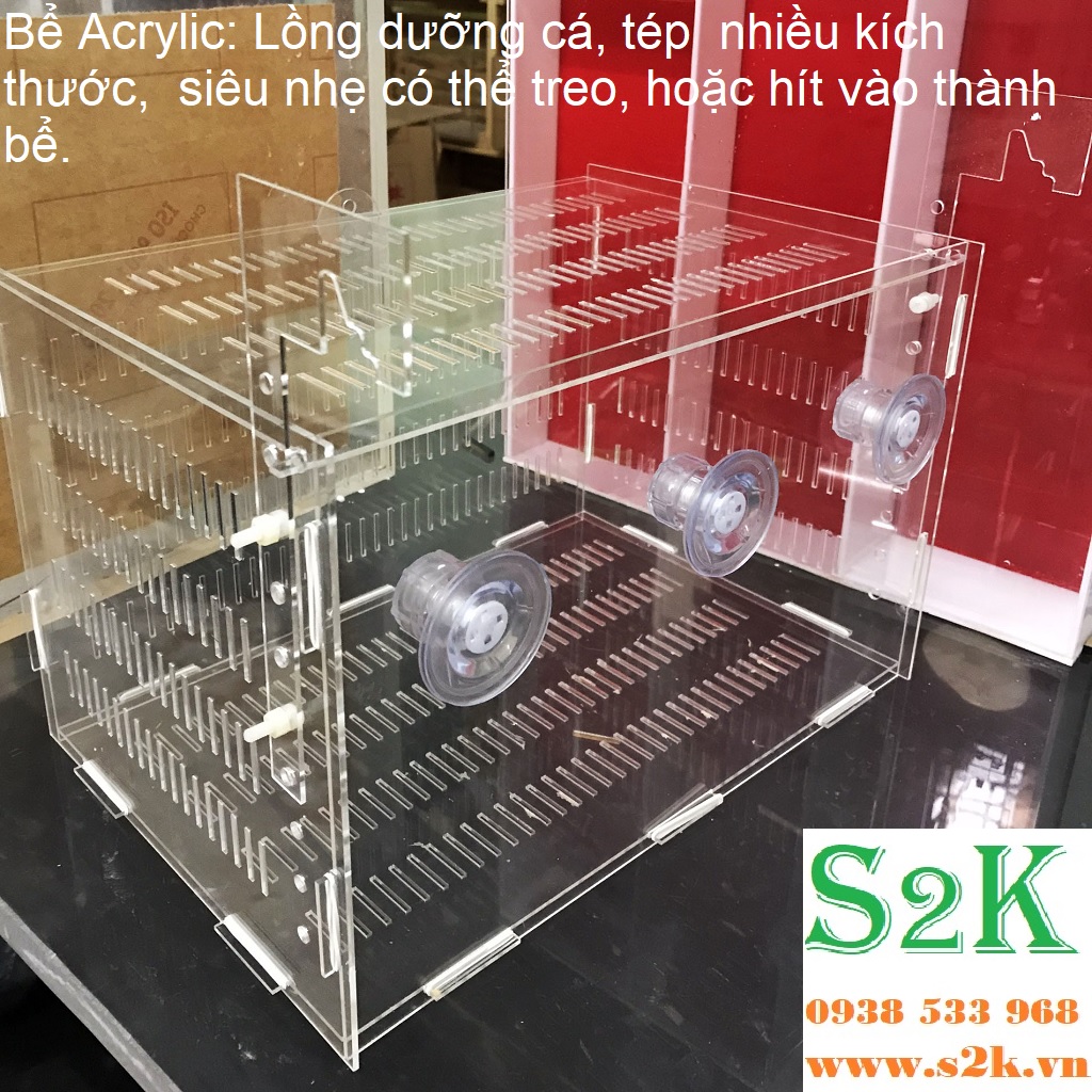 Bể acrylic Lồng dưỡng, bể dưỡng, hồ mika siêu trong phù hợp cho dưỡng cá, tép