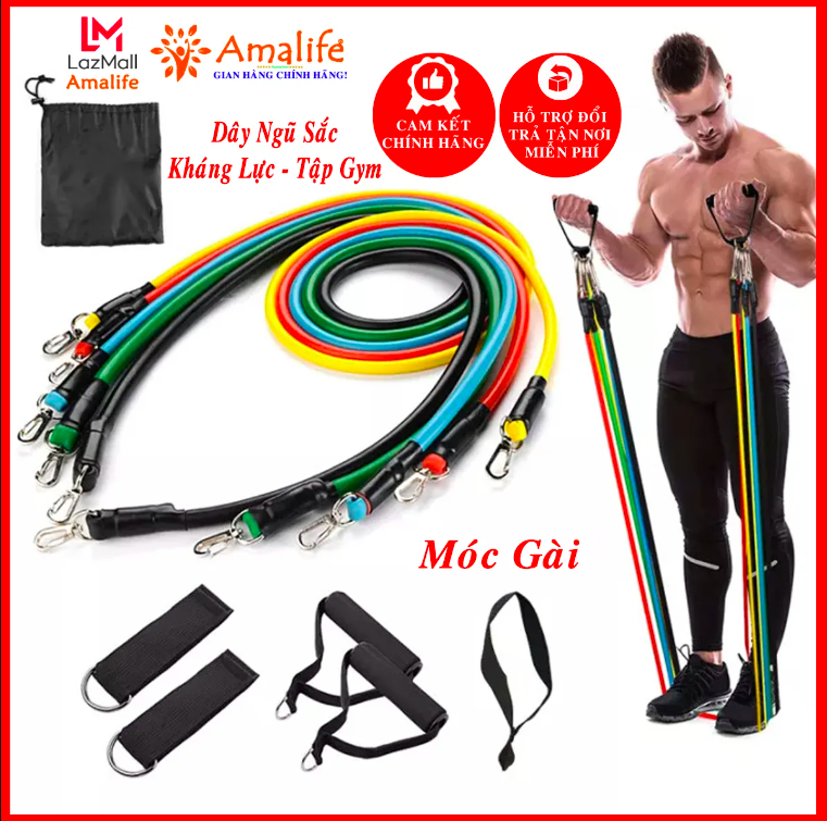 Bộ 5 dây ngũ sắc 11 món tập full body i dụng cụ tập gym cao cấp