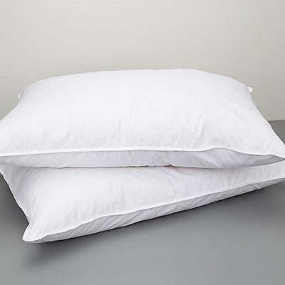 Ruột gối đầu trẻ em 35*50