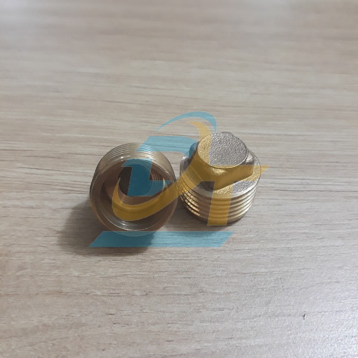Nắp bít ren ngoài đồng thau 21-27