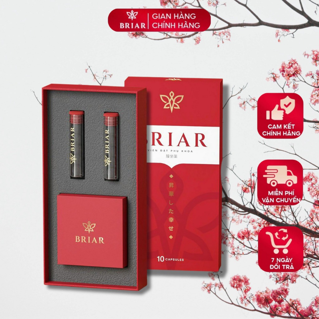 Viên đặt thảo mộc Briar(1 Hộp)