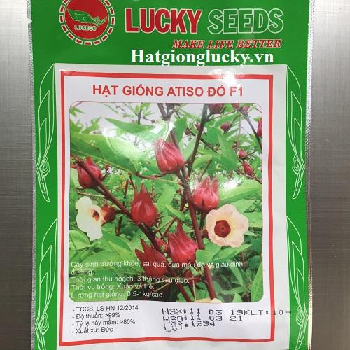 Hạt Giống Cây Bụt Giấm(Hoa Atiso Đỏ) - Mỗi Túi 10 Hạt.