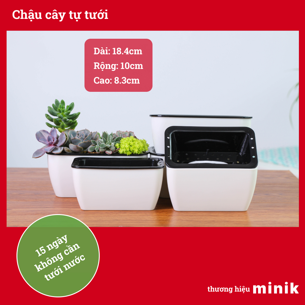 Chậu trồng cây tự dưỡng MINIK, hình chữ nhật màu trắng, chậu 2 lớp tự tưới thông minh, không cần phải tưới cây trong 10 - 21 ngày, kích thước chậu 18.5cm x 10cm x 8.5cm