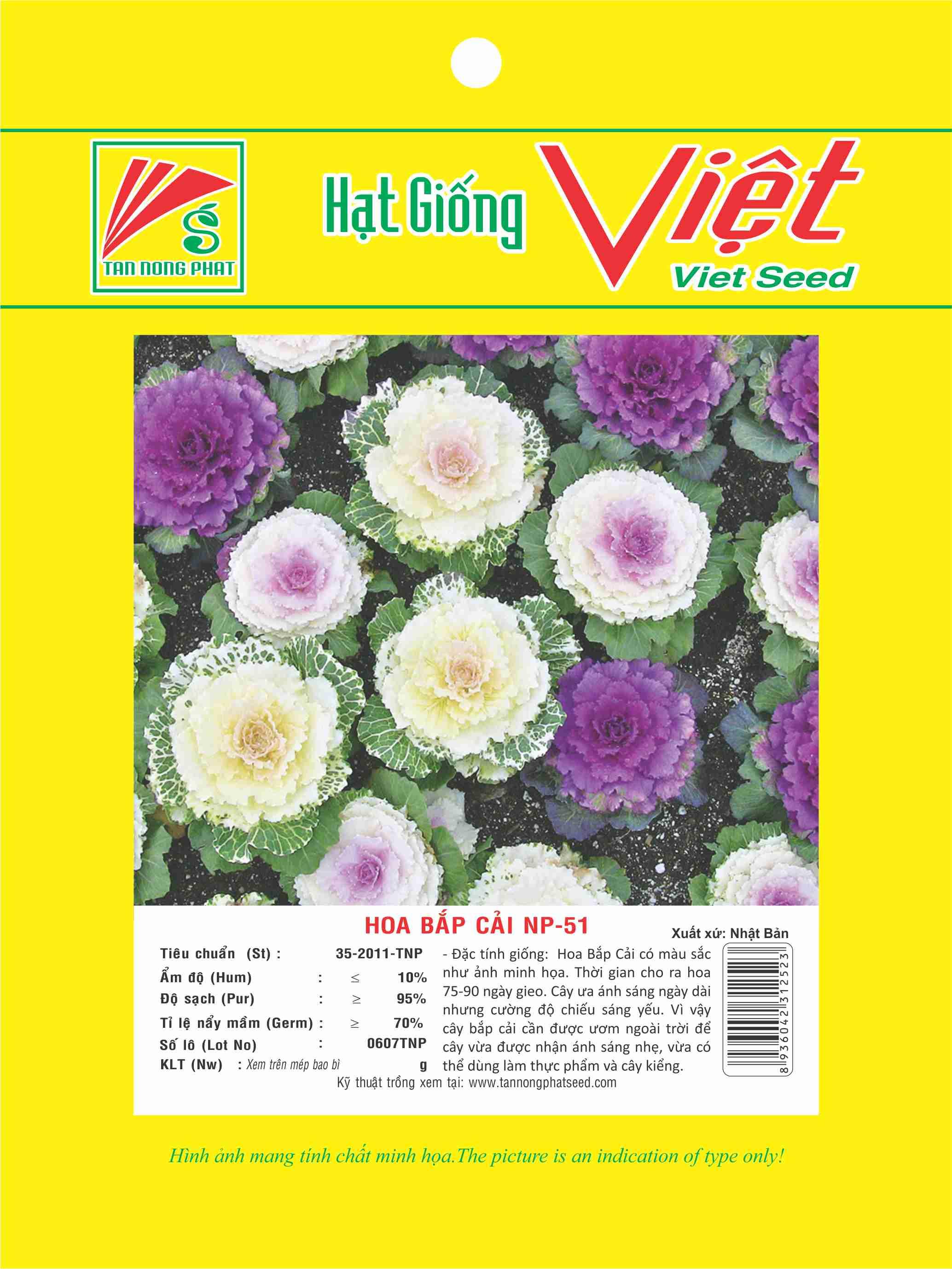 Hạt giống hoa bắp cải 0.1gr