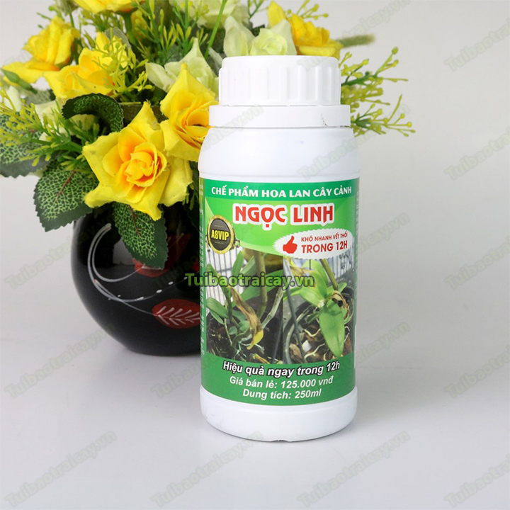 Dung dịch trừ thối nhũn Ngọc Linh hiệu quả 12h A8vip lọ 250ml - T164