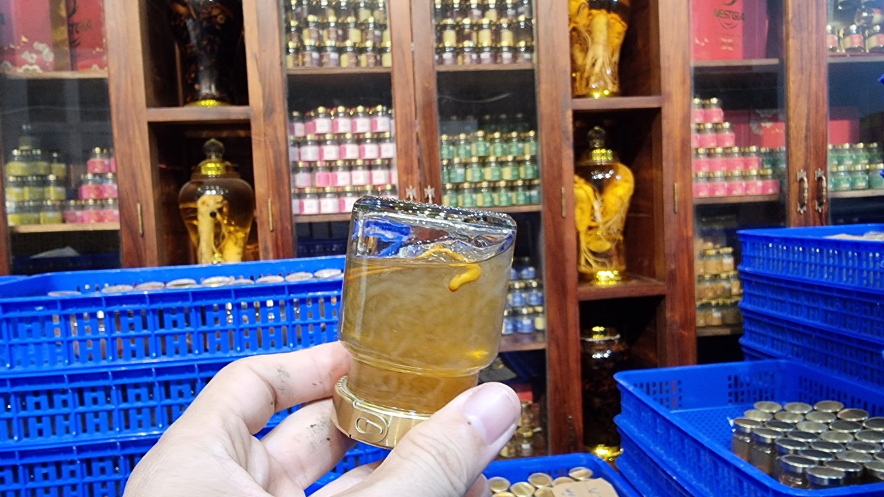 Set yến hủ nguyên chất 100% - yến 1hủ chưng sẵn