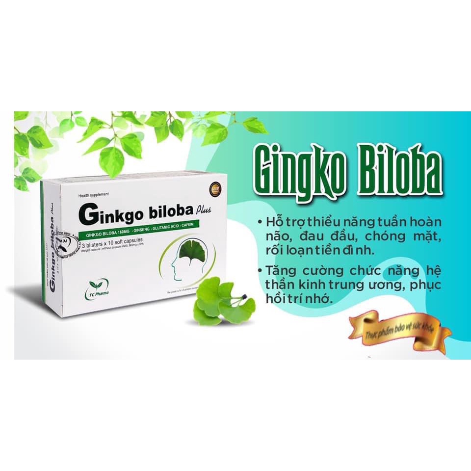 Ginkgo biloba 120