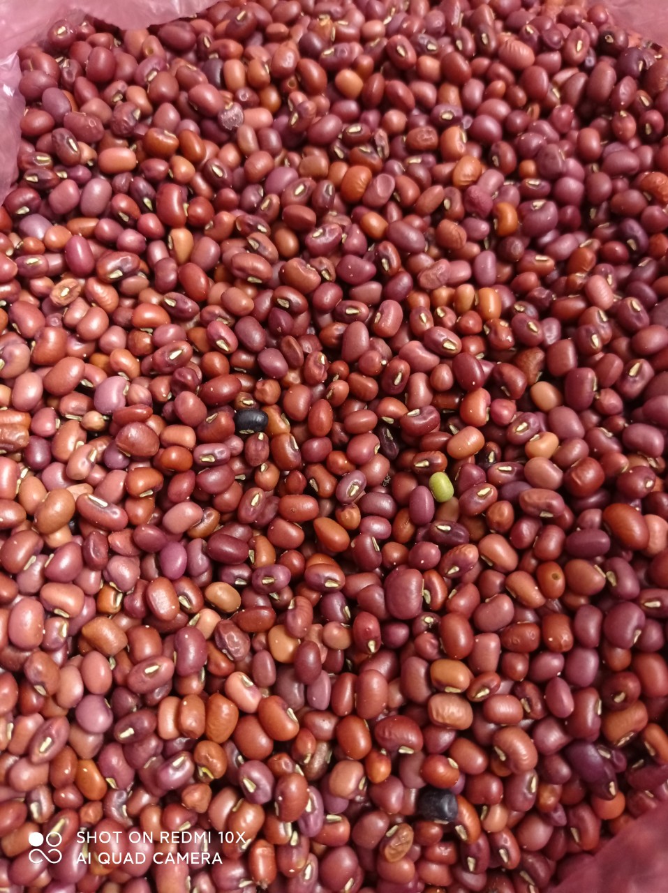 Đỗ đỏ hạt nhỏ/ Đỗ đỏ quê đóng gói hút chân không gói 500g