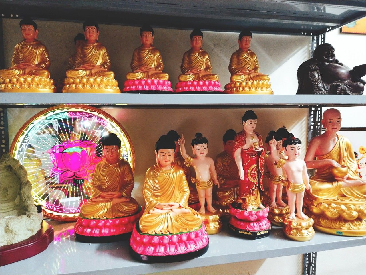 tượng Bổn Sư Thích ca 40cm sen hồng