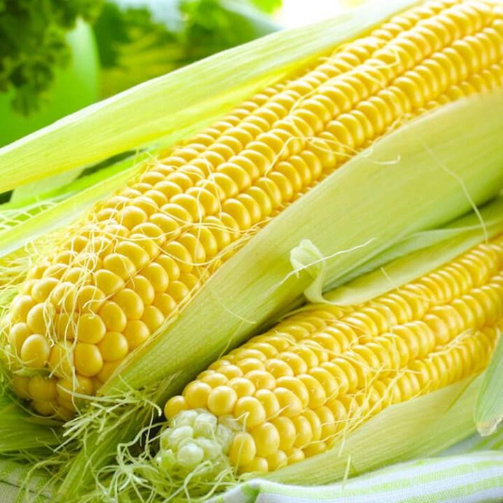 Hạt giống ngô ngọt 30 hạt