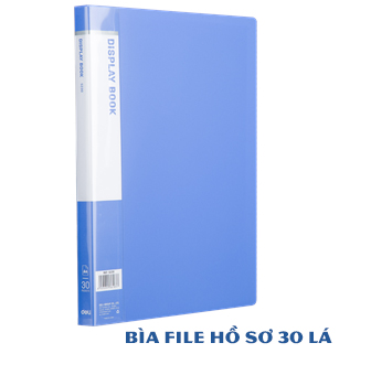 Bìa file hồ sơ 30 lá nhựa a4 deli e5230